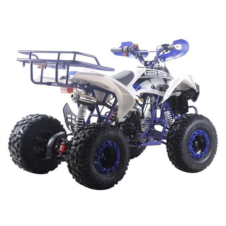 125cc quad atv 4