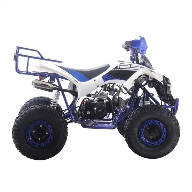 125cc quad atv 3