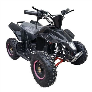 ATV Mini Elektrik 800w